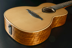 Guitare Folk Lg Electro-Acoustique T318-MH-PE