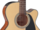 Guitare Folk Takamine Electro-Acoustique GN51CENAT