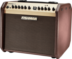 Ampli acoustiques FISHMAN Mini PRO-LBT-500 
