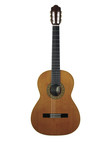 Guitare classique ESTEVE MOD.1 F/E 15441BU