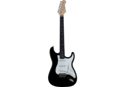 Guitare EKO GEE S300