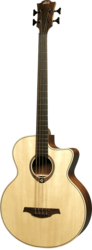 Guitare Basse Lg Acoustique T177BCE