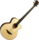 Guitare Basse Lg Acoustique T177BCE