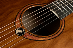 Guitare Folk Lg Acoustique SAUVAGE-A