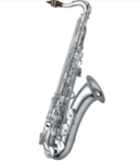 Saxophone Tenor YANAGISAWA T-WO1S