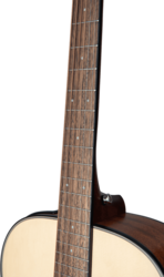 Guitare Folk Takamine Electro-Acoustique GLN12ENS