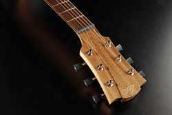Guitare Folk Lg Acoustique T70A-BLS