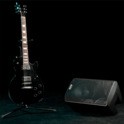 Enceinte ALTO PRO TX310