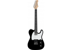 Guitare EKO GEE VT380 BLK