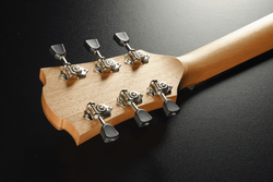 Guitare Folk Lg Acoustique T70DC-NAT