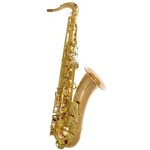 Saxophone Alto YANAGISAWA A-WO2UL