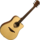Guitare Folk Lg Electro-Acoustique T318DCE
