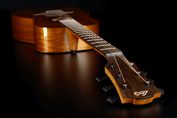 Guitare Folk Lg Electro-Acoustique T98PE
