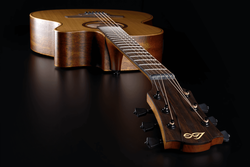 Guitare Folk Lg Electro-Acoustique T170ACE