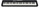 Clavier Casio CT-S300