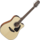 Guitare Folk Takamine Electro-Acoustique GD30CENAT
